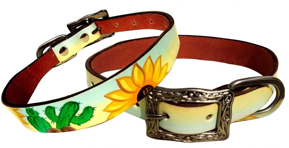 Medium Dog Collar