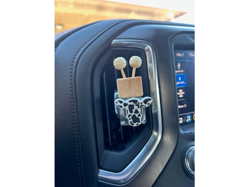 Car Diffuser