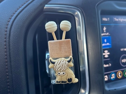 Car Diffuser