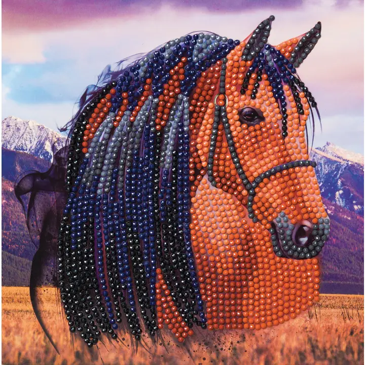 Horse – Diamond Painting Crystal Art Card Kit